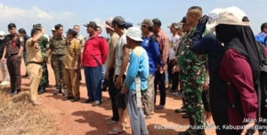 Tim Gabungan Sisir Sawah yang Ditanami Sawit di Pulau Besar