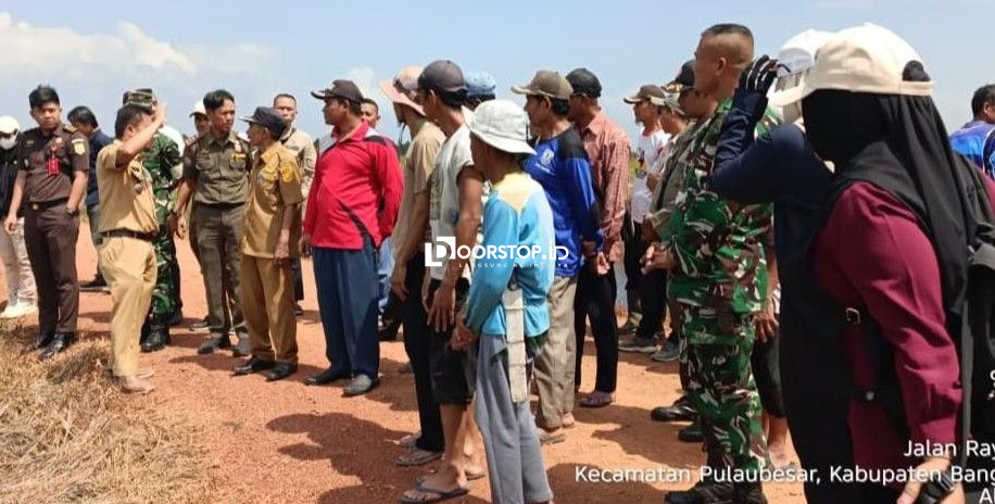 Tim Gabungan Sisir Sawah yang Ditanami Sawit di Pulau Besar