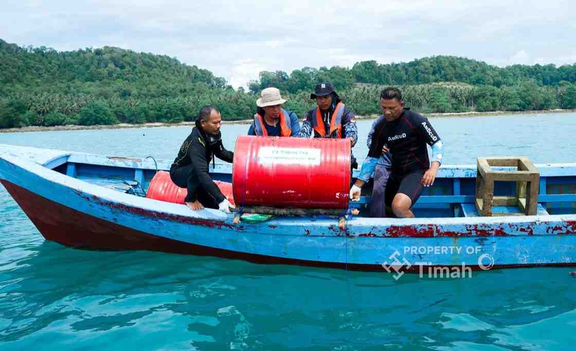 PT Timah Tebar Ratusan Ribu Anakan Cumi di Perairan Bangka