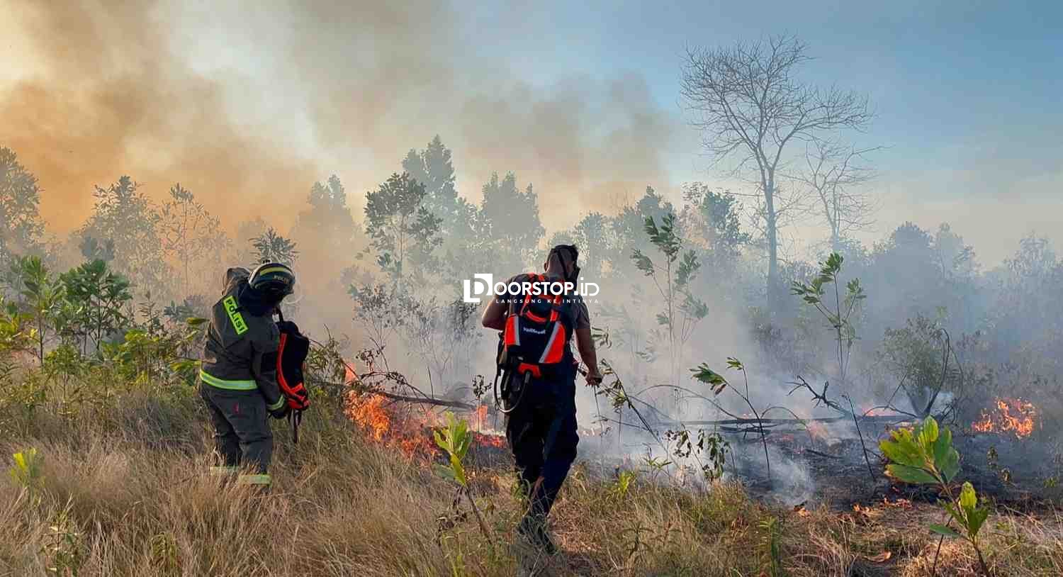 Timgab Polda Babel-Damkar, Berjibaku Padamkan Karhutla di Temberan Pangkalpinang