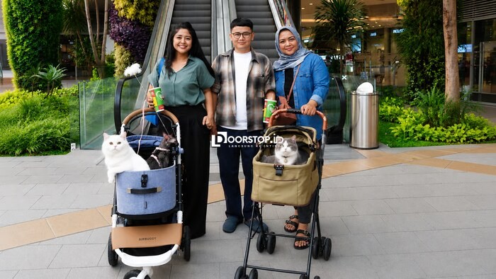 Main Bareng Anabul Di Grand Galaxy Park yang Cat Friendly