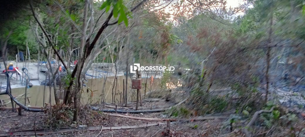 Harga Timah Anjlok, Tambang Ilegal Justru Kian Masif Gerus Hutan Lindung Belitung Timur