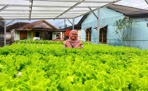 Produktif Bertani di Masa Purnabakti