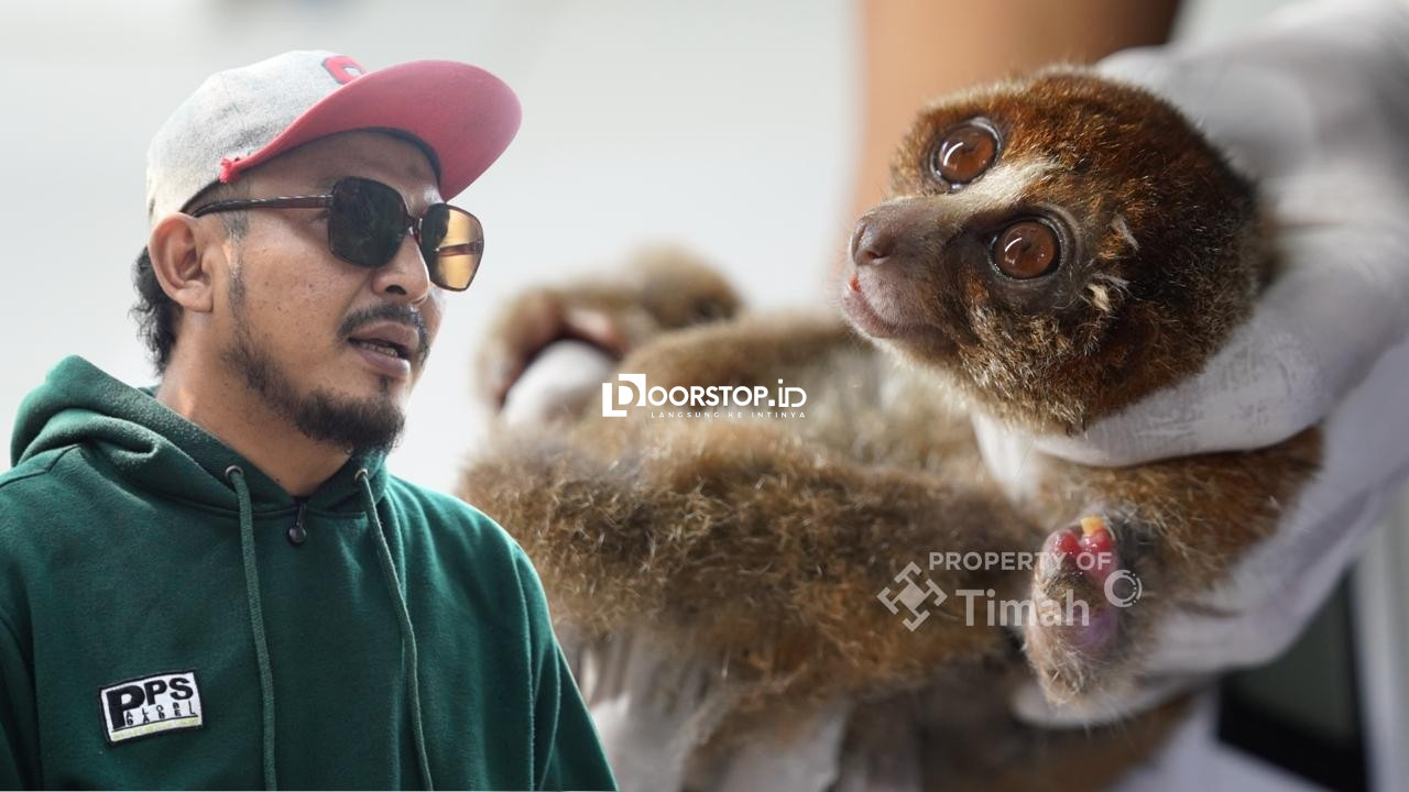 Karhutla Ancam Satwa Liar, PT TIMAH dan Alobi Perkuat Penyelamatan di Bangka Belitung