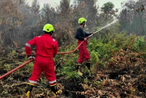 Tangani Karhutla di Kalbar, PT TIMAH bersama Grup MIND ID Kerahkan Personel Fire Fighter