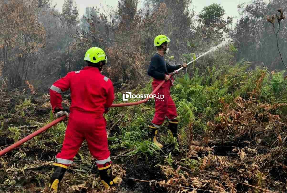 Tangani Karhutla di Kalbar, PT TIMAH bersama Grup MIND ID Kerahkan Personel Fire Fighter