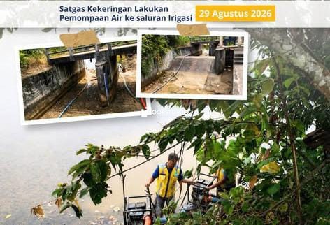Selamatkan Sawah Warga, Satgas BWS Babel Pompa Air Embung Desa Kimak ke Saluran Irigasi