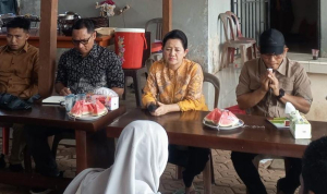 Rina Tarol Desak Penyelesaian Konkret Konflik Lahan HTI di Pulau Besar