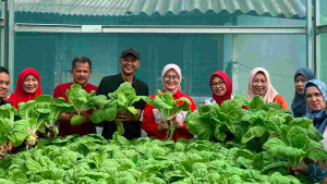 Wakil Wali Kota Pangkalpinang Dorong Urban Farming KWT Jadi Penyuplai MBG