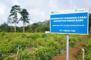 PT TIMAH Dukung Ketahanan Pangan di Wilayah Operasional