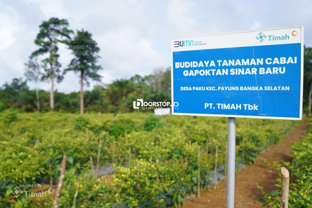 PT TIMAH Dukung Ketahanan Pangan di Wilayah Operasional