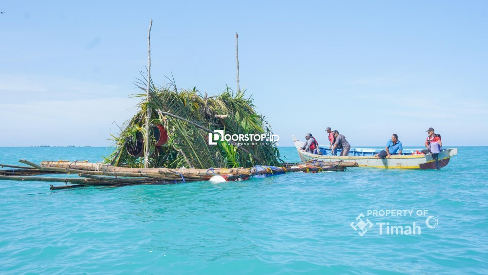 Begini Upaya PT TIMAH Jaga Ekosistem Laut dan Dukung Nelayan