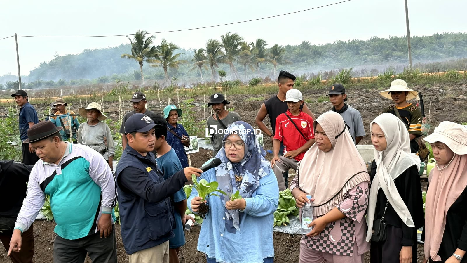 UBB Perkuat Kapasitas Petani Batu Betumpang melalui Edukasi dan Praktik Pascapanen Hortikultura